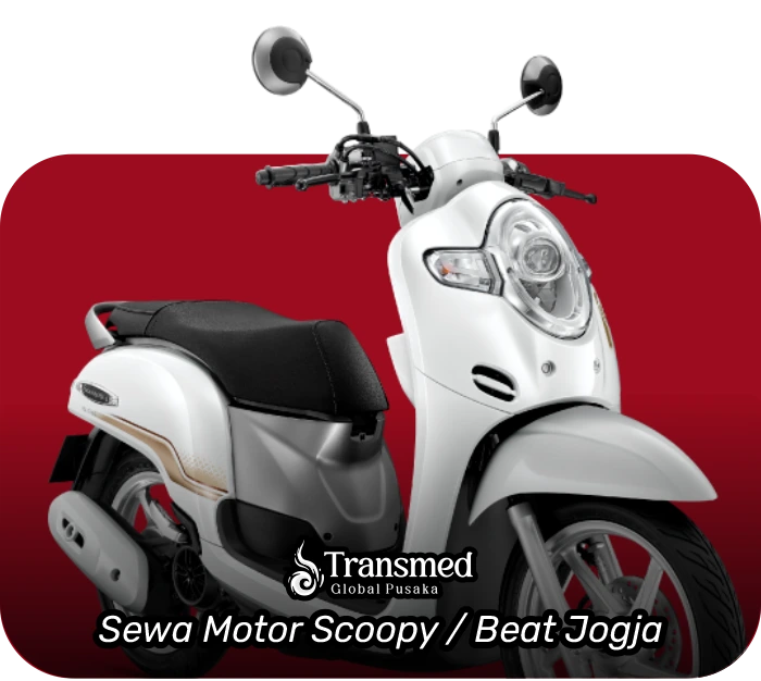 Scoopy/Beat